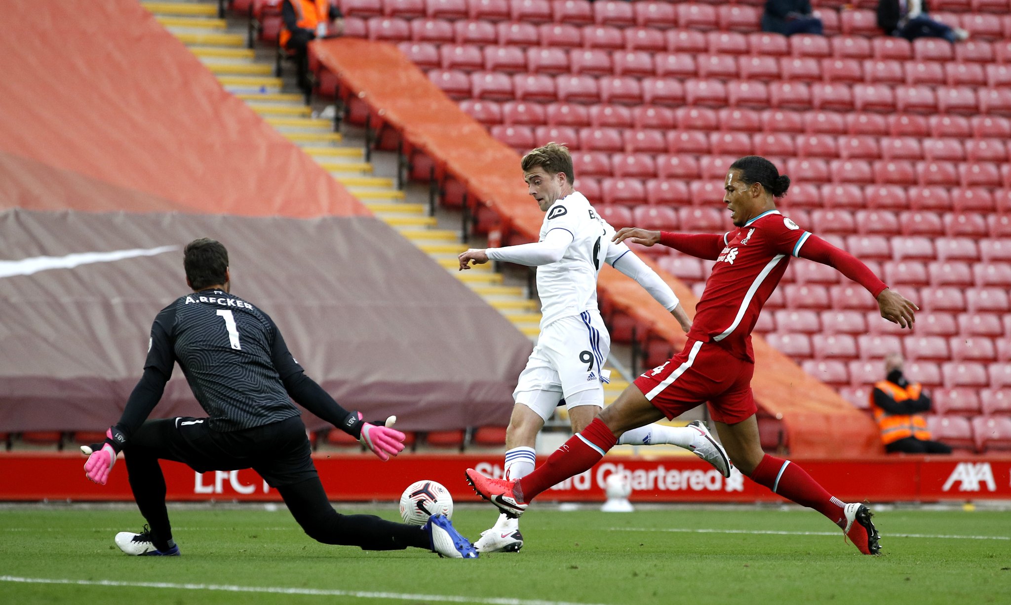 供了丰富的 供了丰富的